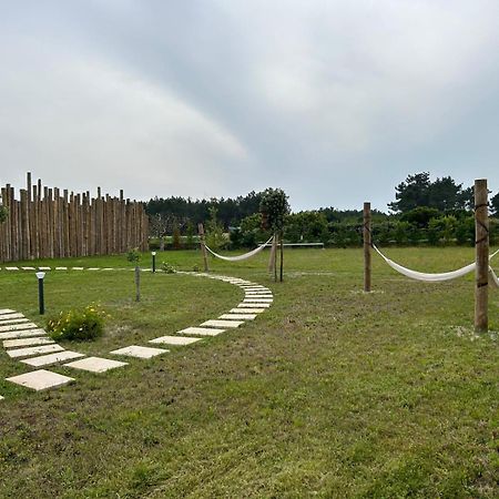 Villa Ria Ovar Bagian luar foto